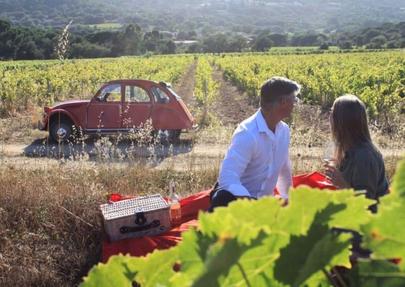 Saint-Tropez: Vintage Car Wine Tour - A Deep Dive into the Vintage Car Wine Tour