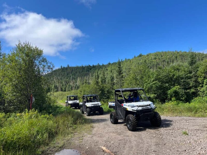 Sainte-Rose du Nord: Guided Tour in an Electric Side-by-Side - Key Points