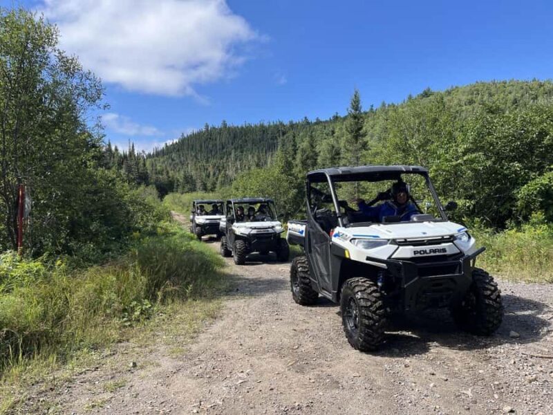 Sainte-Rose-du-Nord: Polaris Ranger Off-Road Adventure - Village Life and Regional Flavors