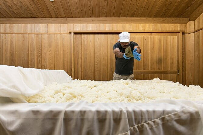 Sake Brewery Tour, Sake Cuisine and Pairing Experience - Key Points
