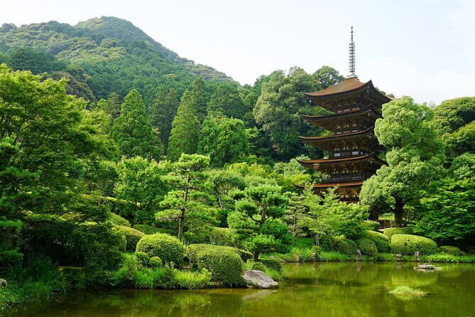 Sake Brewery Tour, Sake Cuisine and Pairing Experience - FAQ
