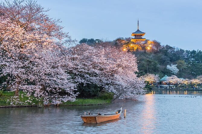 Sakura Cherry Blossom Full Day Walking Tour with Local Guide - Key Points