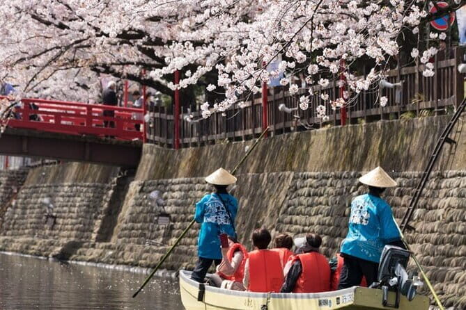 Sakura Magic and Nabana No Sato Day Tour From Osaka - A Detailed Look at the Tour Experience