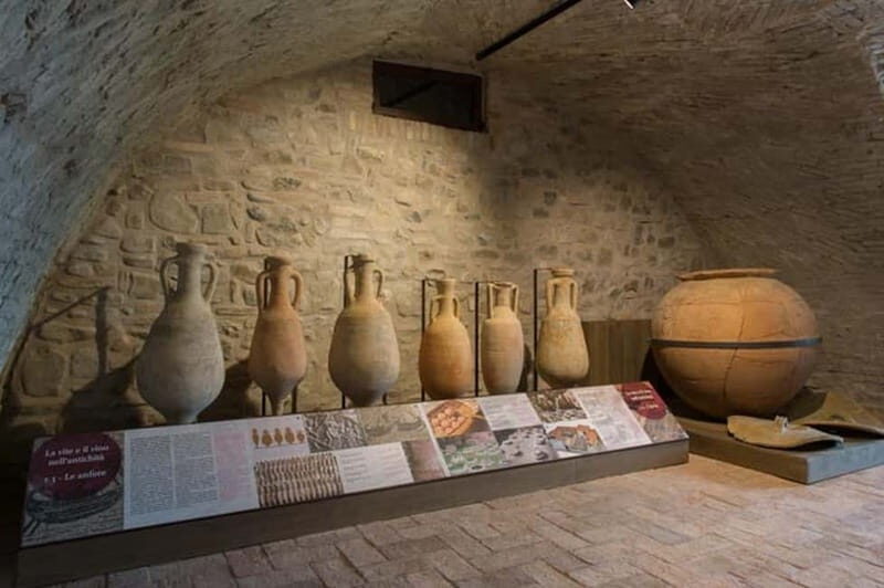 Sala Baganza: Wine Museum Ticket - A Close Look at the Wine Museum Experience