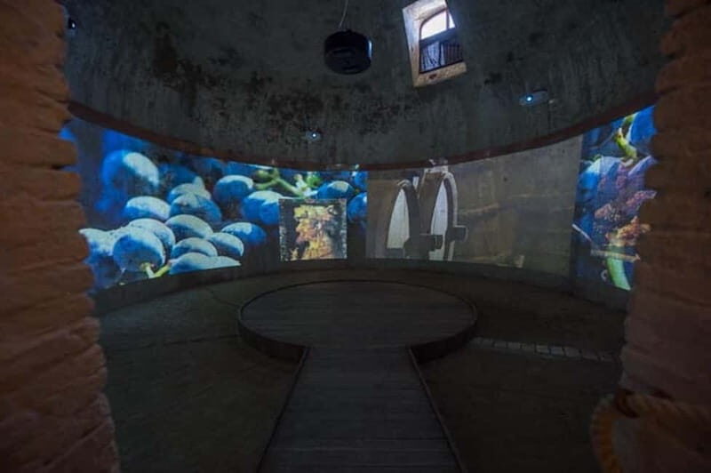 Sala Baganza: Wine Museum Ticket - Practical Details and What You Should Know