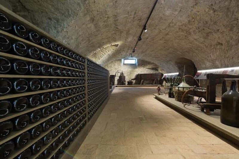 Sala Baganza: Wine Museum Ticket - Who Will Love This Experience?