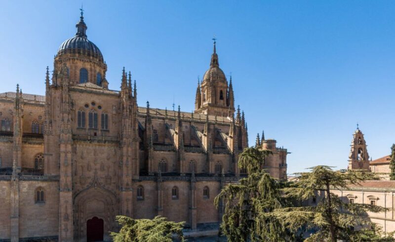 Salamanca: Cathedral of Salamanca Ticket with Audio Guide - Who Will Love This Experience?