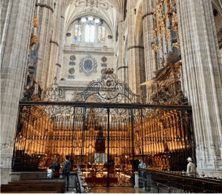 Salamanca Genial Tour privado - Discovering Salamanca’s Architectural Marvels