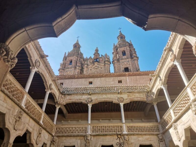 Salamanca: Monuments and Landmarks Guided Walking Tour - A Deep Dive into Salamanca’s Monuments and Landmarks