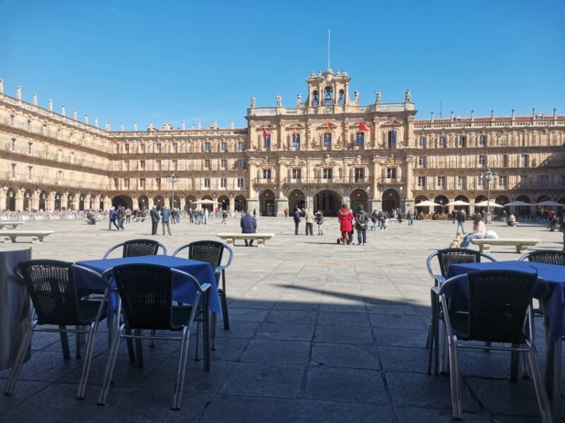 Salamanca: Monuments and Landmarks Guided Walking Tour - Who Will Love This Tour?