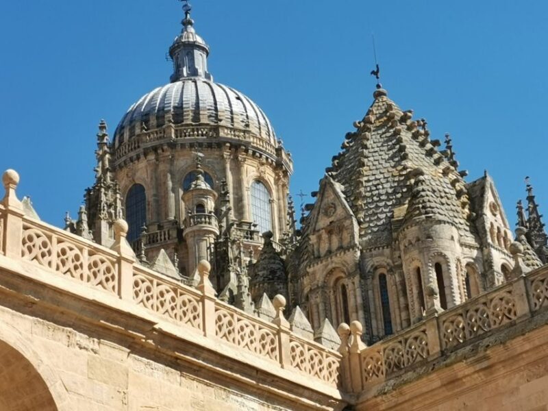 Salamanca: Monuments and Landmarks Guided Walking Tour - Final Thoughts