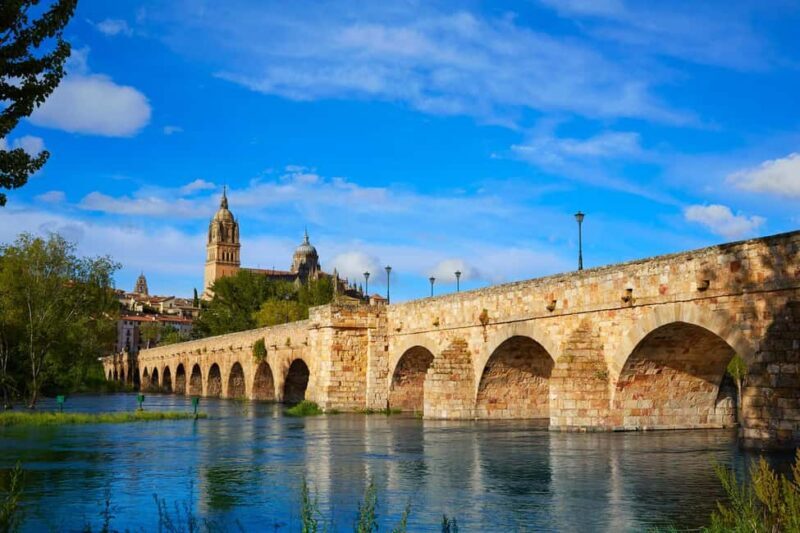 Salamanca: Private 2-Hour Intro City Walk with Local Guide - Key Points