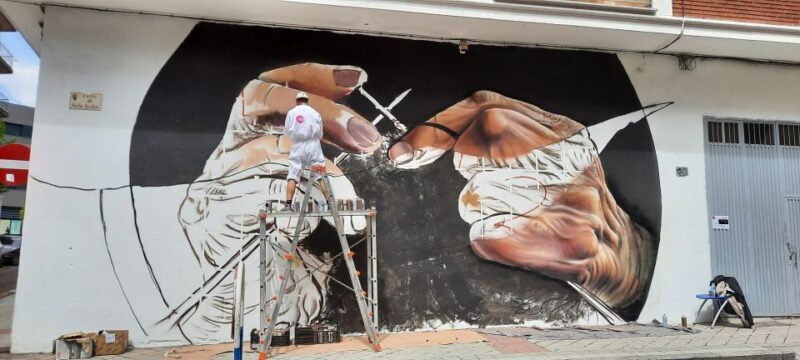 Salamanca: Private Guided Street Art Walking Tour - Exploring Salamanca’s Street Art: What to Expect