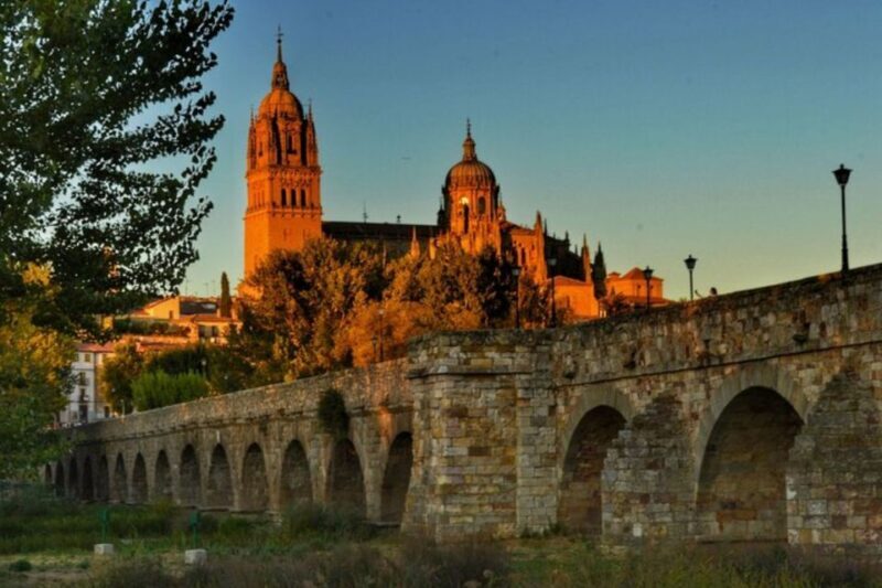 Salamanca: Private Walking Tour with a Local Guide - Why Choose a Private Guided Tour in Salamanca?