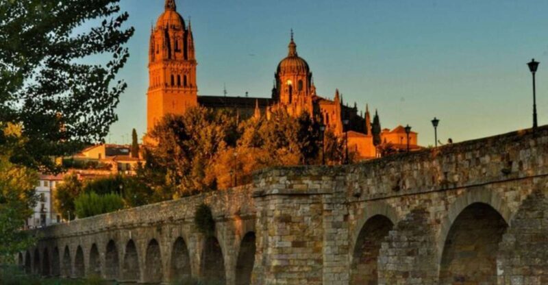 Salamanca: Private Walking Tour with a Local Guide - What the Reviews Say