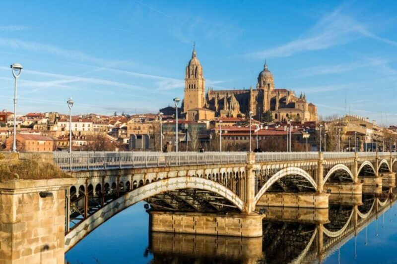 Salamanca: Private Walking Tour with a Local Guide - The Value of This Tour