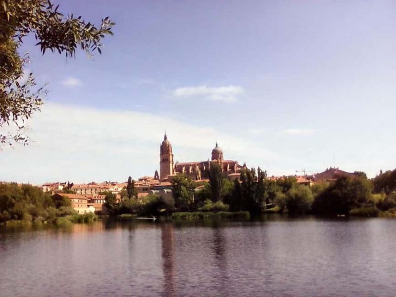 Salamanca: Private Walking Tour with a Local - Key Points