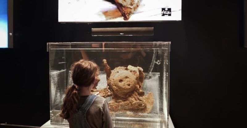 Salem: Pirate Museum with Authentic Treasures Entry Ticket - FAQs