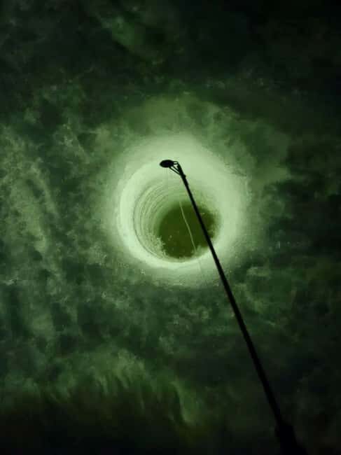 Sälen: Ice Fishing Experience - Key Points