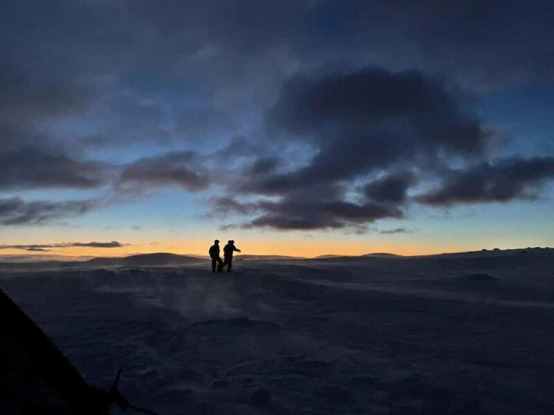 Sälen: Northern Lights Snowshoe Adventure with Pickup - Discover the Northern Lights Snowshoe Adventure in Sälen
