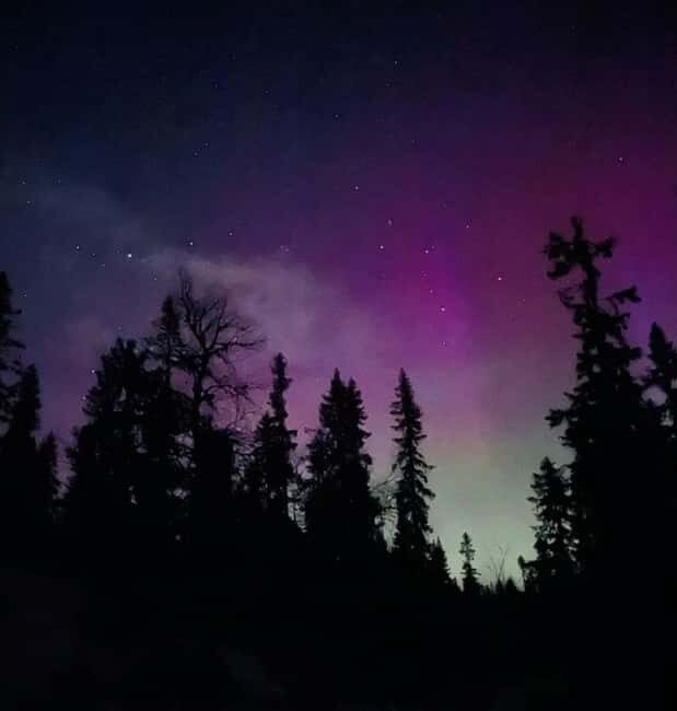 Sälen: Northern Lights Snowshoe Adventure with Pickup - Key Points