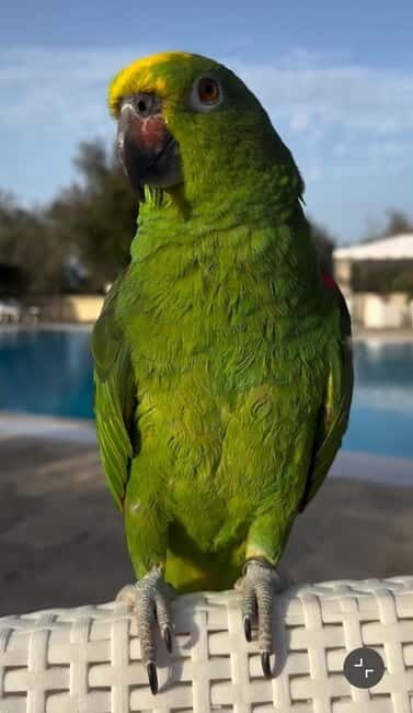 Salento: farm visit with local product tasting - Key Points