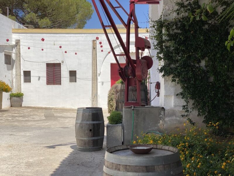Salento: Winery Tour and Tasting - Who Might Want More