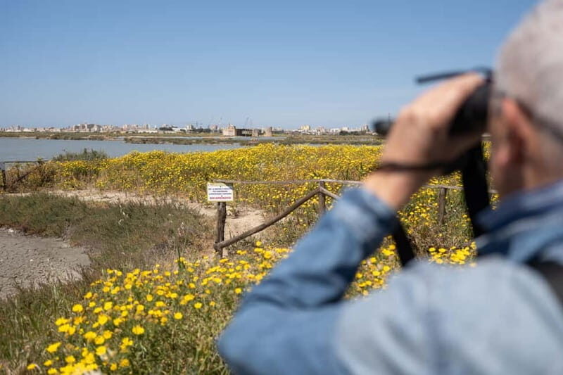 Salina Maria Stella di Trapani: Birdwatching in search of flamingos - FAQ