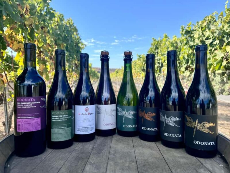 Salinas Valley, CA: Wine tasting experience - The Itinerary Breakdown