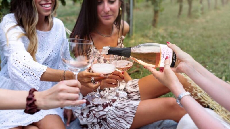 Salò: Tasting of 4 Valtenesi wines with local food - Who is this experience perfect for?