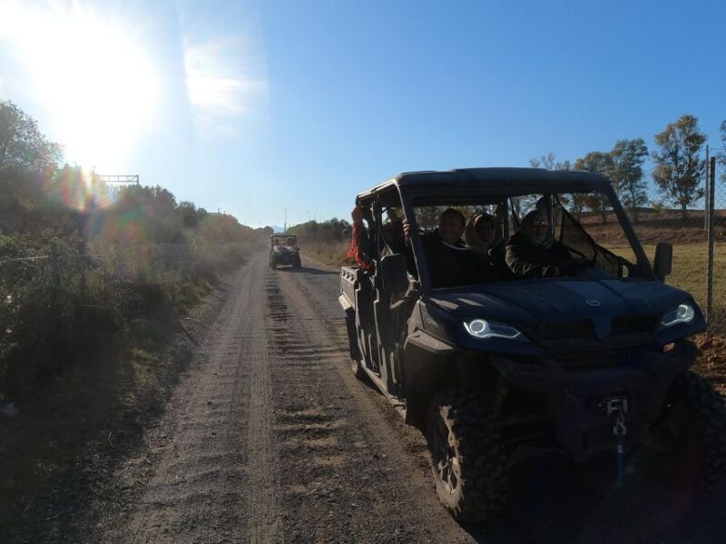 Salou: Buggy Safari with Hotel Transfer - An In-Depth Look at the Buggy Safari Experience