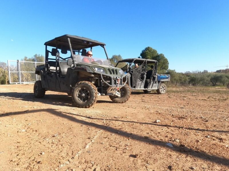 Salou: Kid's Buggy Driving Experience in Safe Environment - What to Expect on the Tour