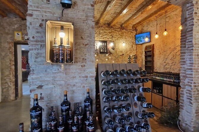 Salou : park Sama with 1 free vermouth tasting with hotel Pickup - Final Words