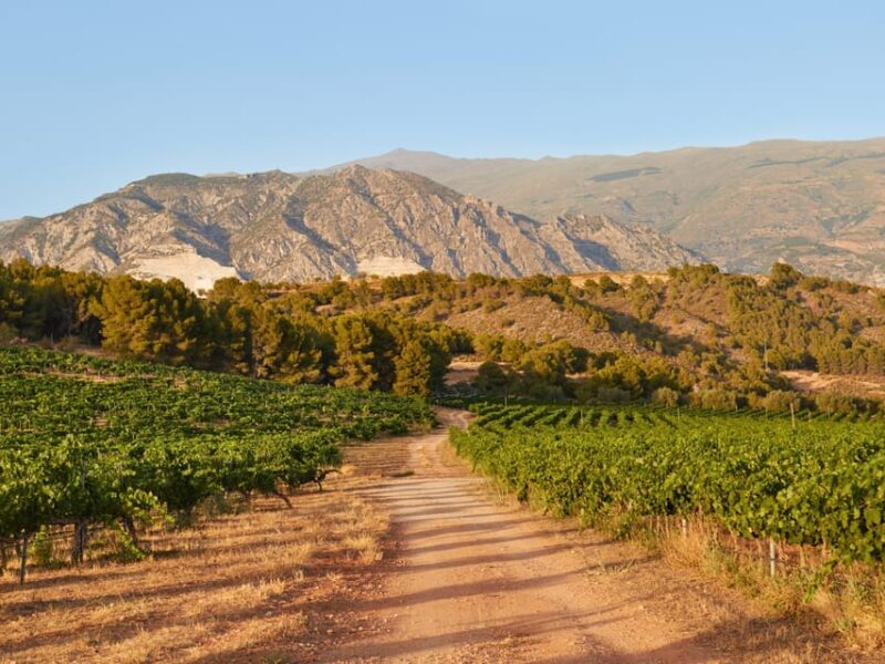 Salou: Siurana Castle and Cornudella Winery Tour - Key Points