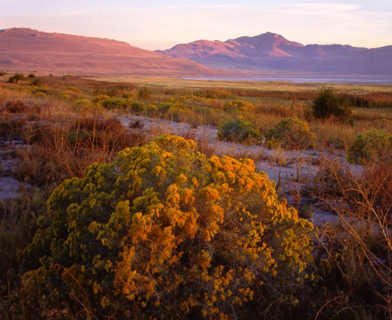 Salt Lake City: Great Salt Lake Antelope Island Guided Tour - Starting Out: Convenient Pickup and Transportation