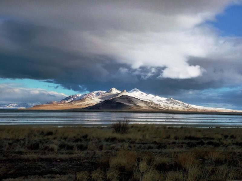 Salt Lake City: Great Salt Lake Antelope Island Guided Tour - Short Hikes and Photo Breaks