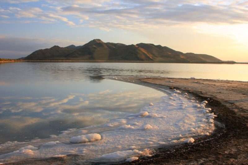 Salt Lake City: Great Salt Lake Guided Tour - Key Points