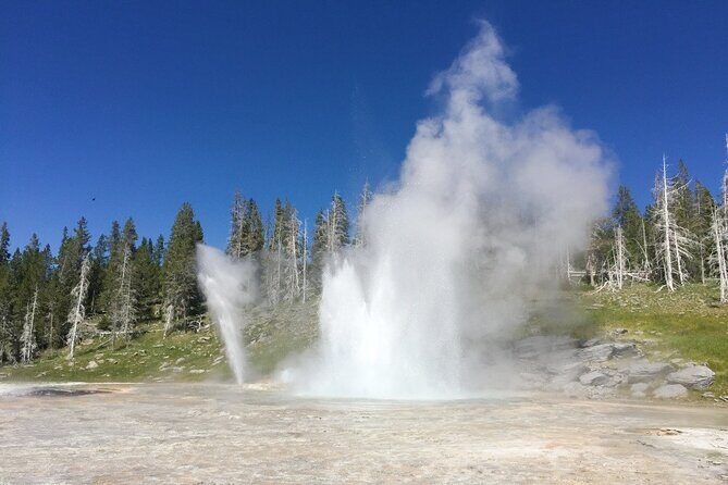 Salt Lake City to Yellowstone and Mt Rushmore 4 Day Tour - FAQ