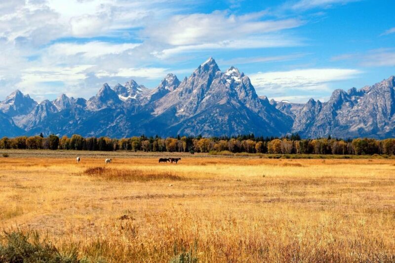 Salt Lake City: Yellowstone 4-day Tour with Airport Pickup - Discover Yellowstone and Grand Teton on a 4-Day Small Group Tour from Salt Lake City