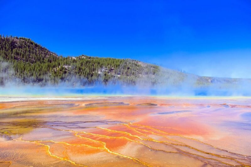Salt Lake City: Yellowstone 4-day Tour with Airport Pickup - Who Should Book This Tour?