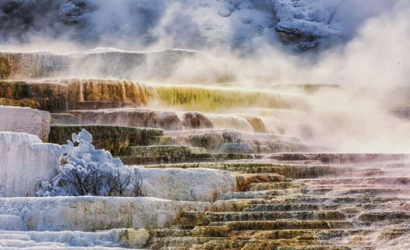 Salt Lake City: Yellowstone and Grand Teton 4-Day Tour - What’s the Real Value?