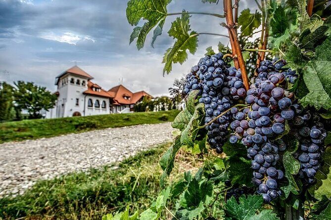 Salt Mine, Lunch at Winery and Dracula Grave - Private Tour - Frequently Asked Questions