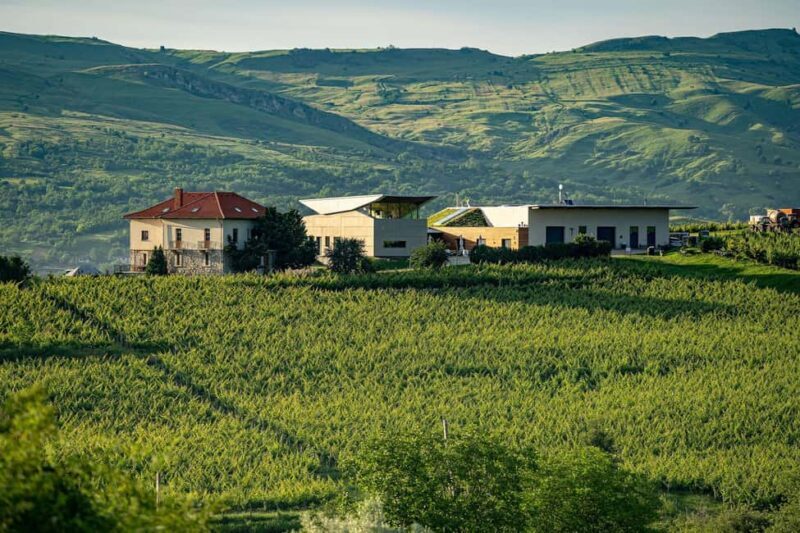 Salt Mine, Lunch at Winery & Dracula's Tomb - Small Group 7p - Final Thoughts: Who Is This Tour Best For?