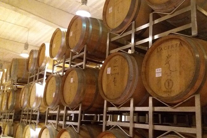 Salt Mine, the Muddy Volcanoes and Wine Tasting Private Day Tour from Bucharest! - Who Should Consider This Tour?