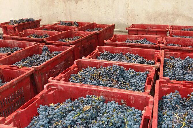 Salt Mine, the Muddy Volcanoes and Wine Tasting Private Day Tour from Bucharest! - FAQ