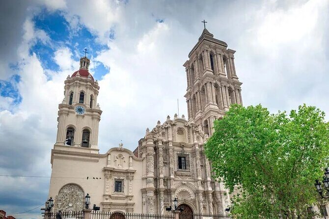 Saltillo Airport (SLW) Private Transfer to Saltillo City Centre - Who Should Book This Transfer?