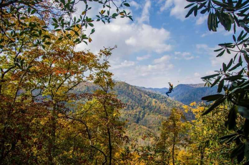 Saluda: Zipline Canopy Tour with Rappels and Skybridge - Key Points: