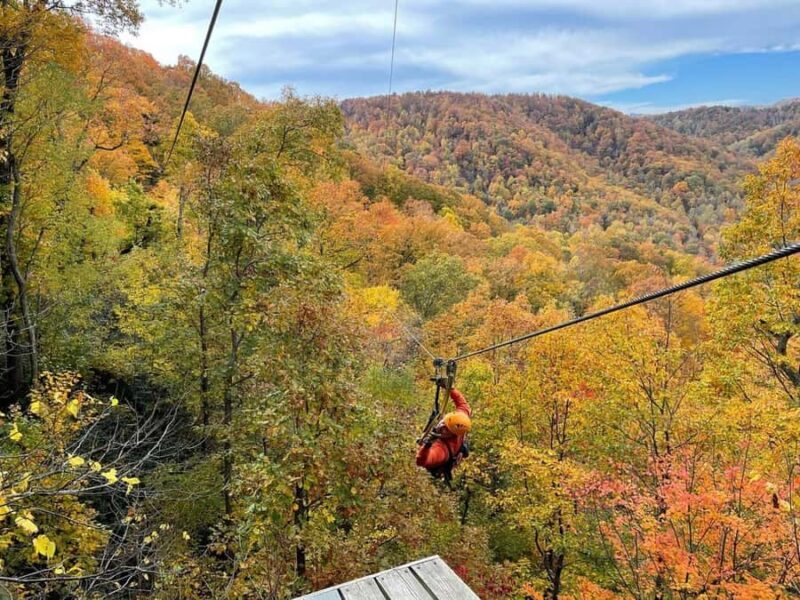 Saluda: Zipline Canopy Tour with Rappels and Skybridge - Final Thoughts: Is This Adventure for You?