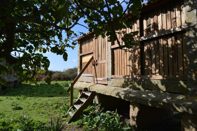 Salvora: Island Tour with Mussel Tasting - Exploring Salvora Island: What to Expect