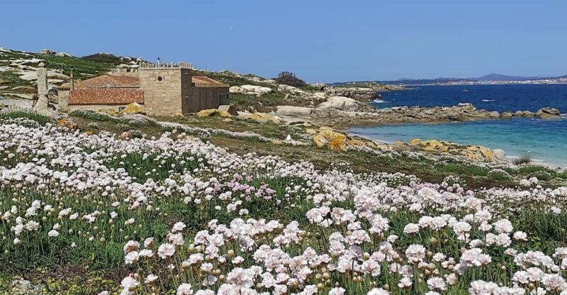 Salvora: Island Tour with Mussel Tasting - Who Will Love This Tour?